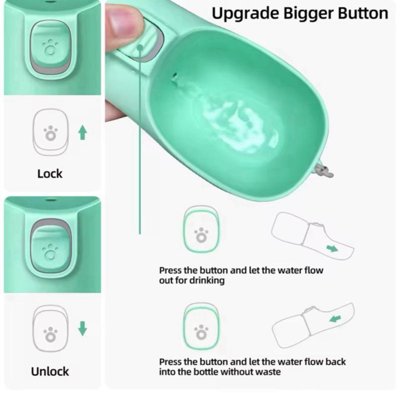 Portable dog water bottle