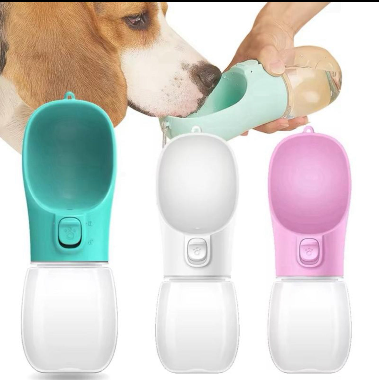 Portable dog water bottle