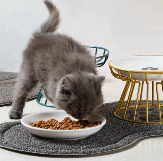 Elevated cat feeder