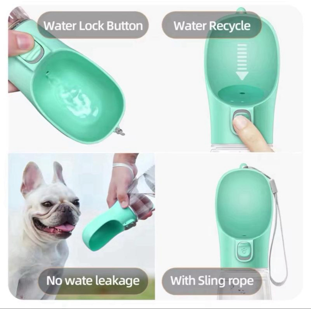 Portable dog water bottle
